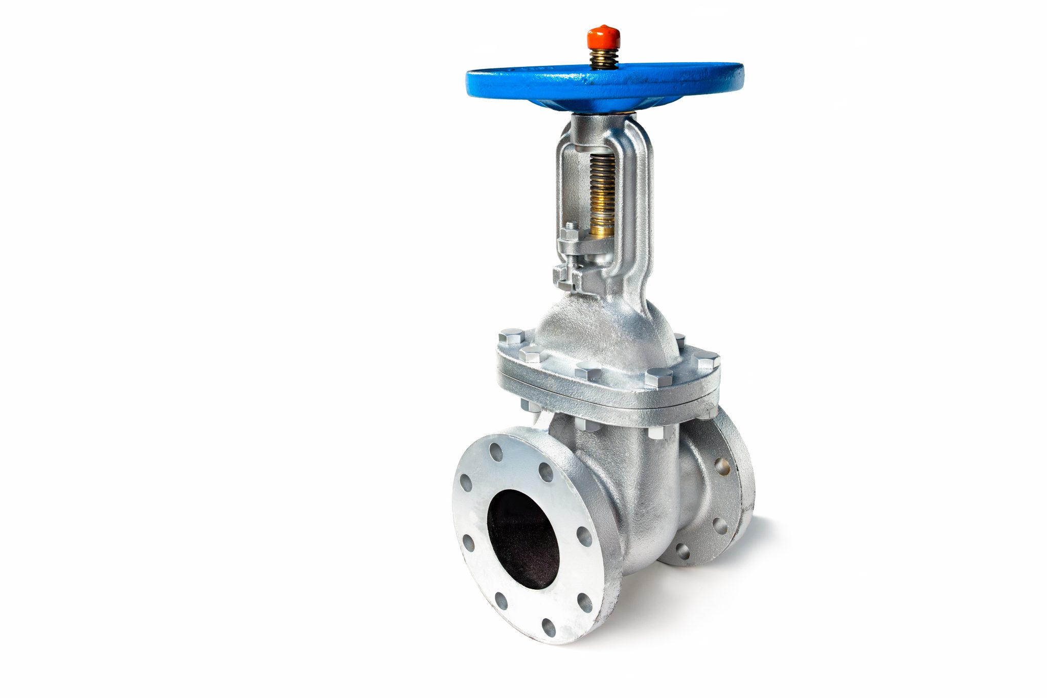 GATE VALVES VEGroup